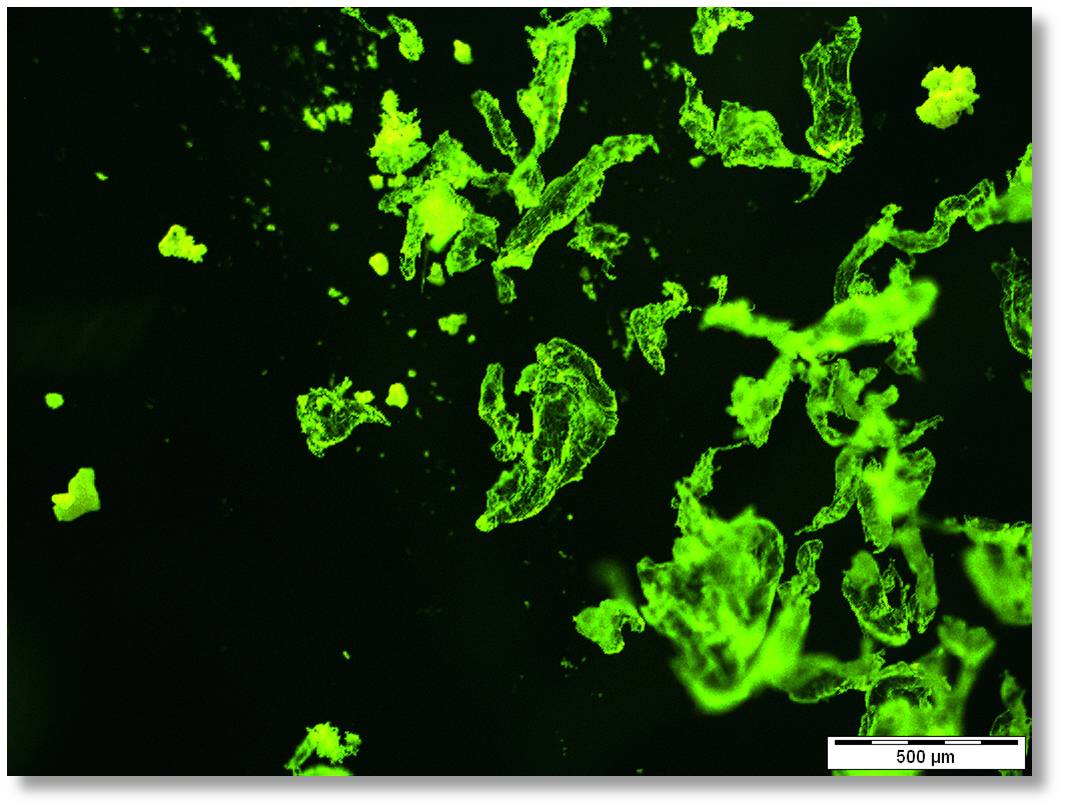 microplastic