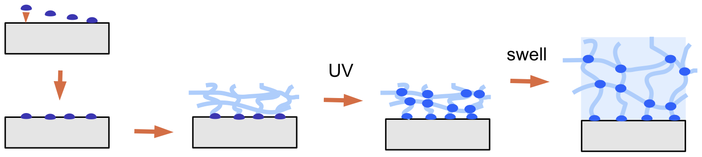 hg_layer_prep_uj110301