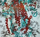 virus_covid virus_covid